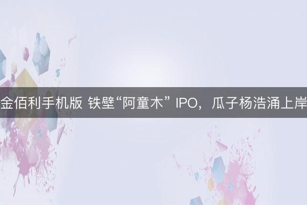 金佰利手机版 铁壁“阿童木” IPO，瓜子杨浩涌上岸